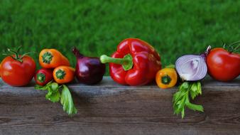 Colorful Paprika, tomato, onion