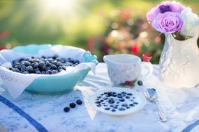 Blueberries in bowl on table, Dessert for Breakfast