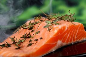 fried salmon with herbs as a restaurant dish