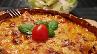 Beautiful lasagna with the tomato and basil