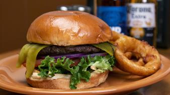 Delicious hamburger and fried onion rings on a plate