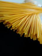 bunch of uncooked Spaghetti close up