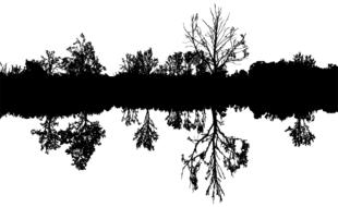 silhouettes of bare trees with reflection, digital art