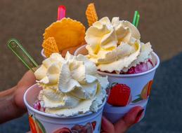 Ice Food