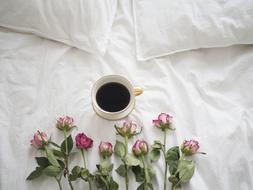 Coffee in a cup and Roses on white Bed