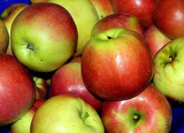 dainty Apples green and red Fruit