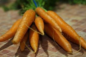 orange Carrots