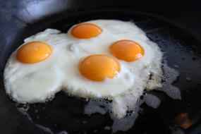 dainty Breakfast Egg