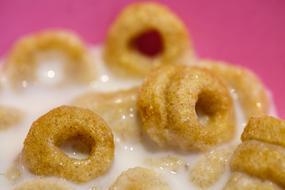 dainty Muesli Cornflakes Breakfast