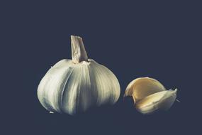 garlic in a dark background