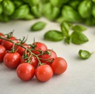 organic tomatoes and basil