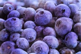 Blueberries Macro