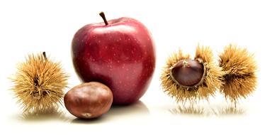 burgundy apple and chestnut fruits on white