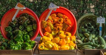 healthy wonderful Market Vegetables