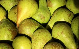 green Pears Fruit Food