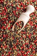 Pepper Mix, Red, black, white and green