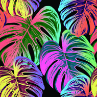 leaves tropical jungle as a drawing