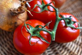 Tomatoes Nutrition