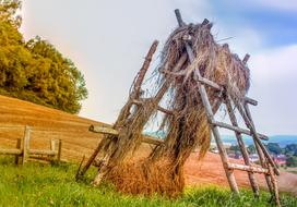 hay on wooden frames on the field