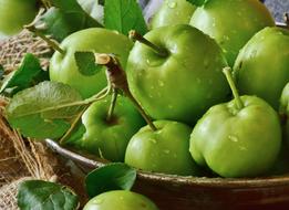 wet green apples on a plate