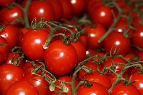 red Tomatoes Vegetables