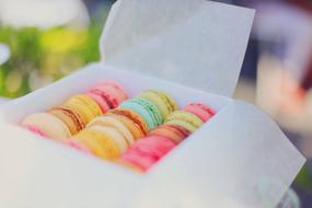Macaroons Colorful