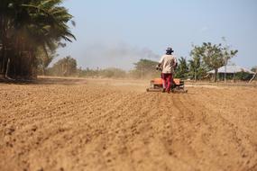Farm Agriculture land