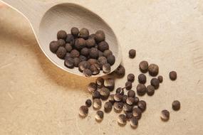 Allspice Sweet Peas