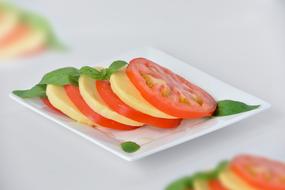 tomatoes, mozzarella and basil as an appetizer