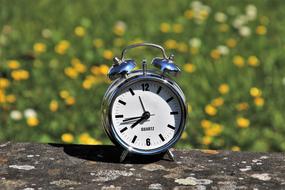 alarm clock stands on a log on a blurred background