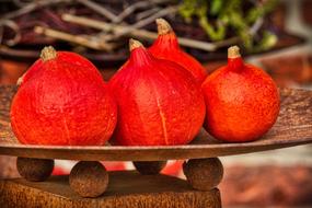 Close-up of the beautiful, red and orange Hokkaido pumpkins on the plate, in Japan