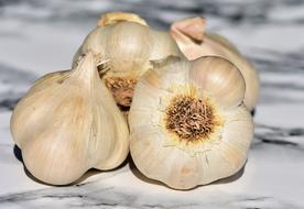 white garlic on the table