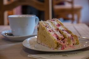 piece of holiday cake and coffee