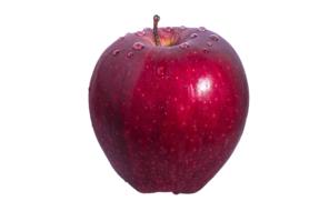 clipart of Red Apple Fruit