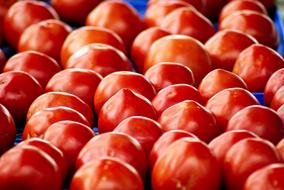 Tomatoes At Little Rock