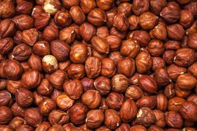 Nuts Hazelnut