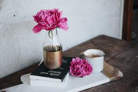 Pink Flower in Vase