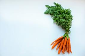 isolated bunch of carrots