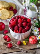 appetizing Raspberry Berry Summer
