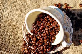 delicious Coffee Cup