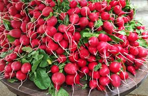 delicious Radishes Veggies