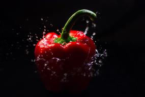 red pepper in drops of water on a dark background