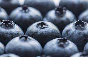 Close-up of the beautiful, blue, ripe blueberries, in light