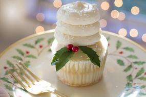 appetizing Christmas Desert