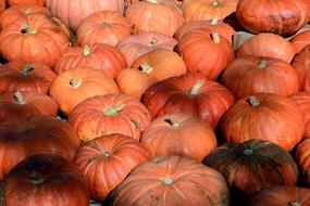 pumpkins as autumn motives under the light