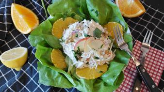Waldorf Salad Celery