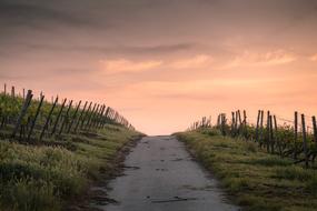 narrow road in countryside at dusk