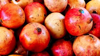 lot of pomegranates for sale close-up