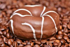 chocolate donut on brown coffee beans