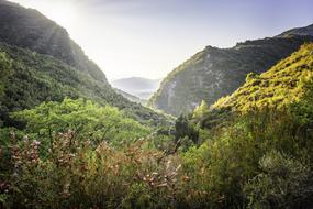 Hillsides Autumn
